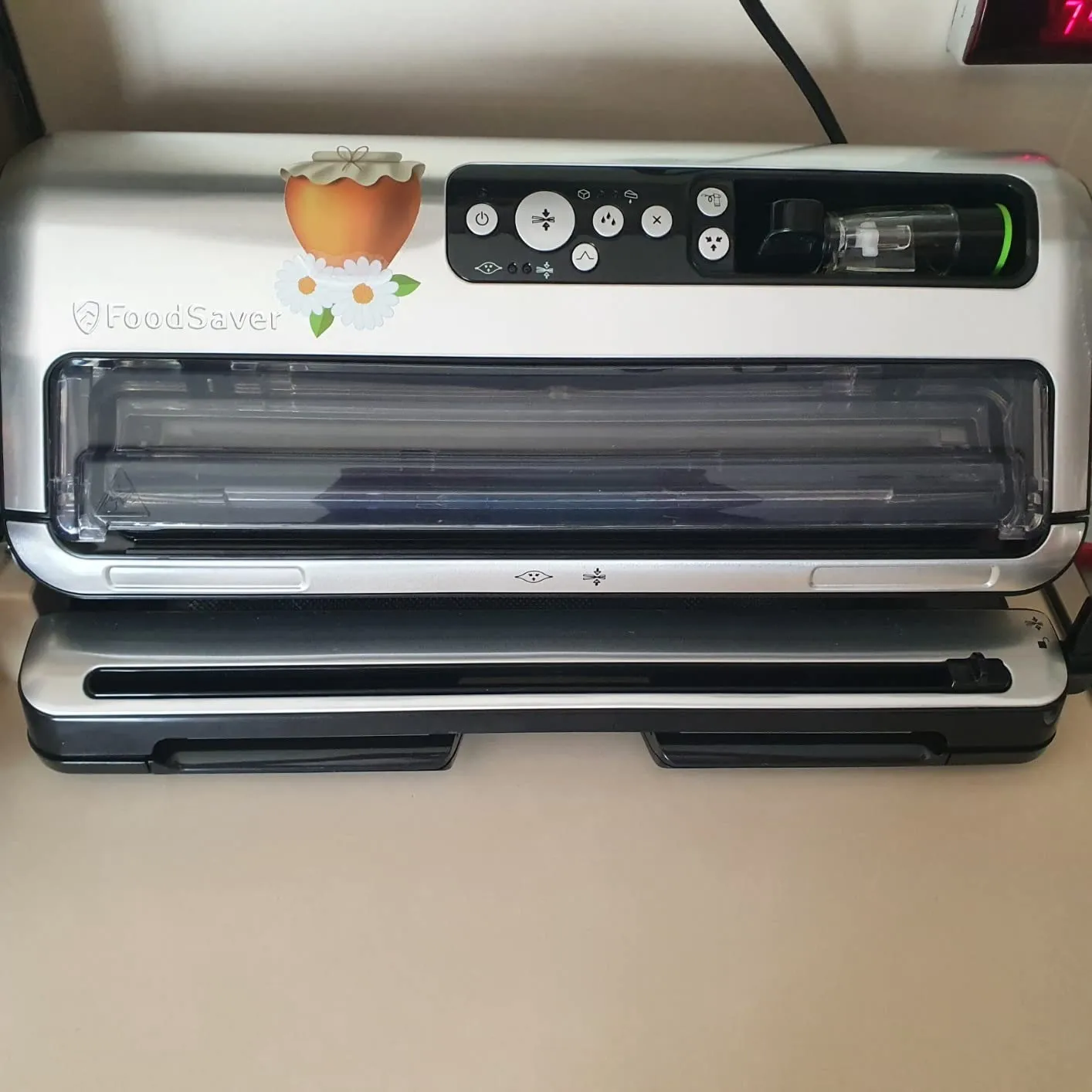 FoodSaver FFS006X machine sous vide avec fonction marinade