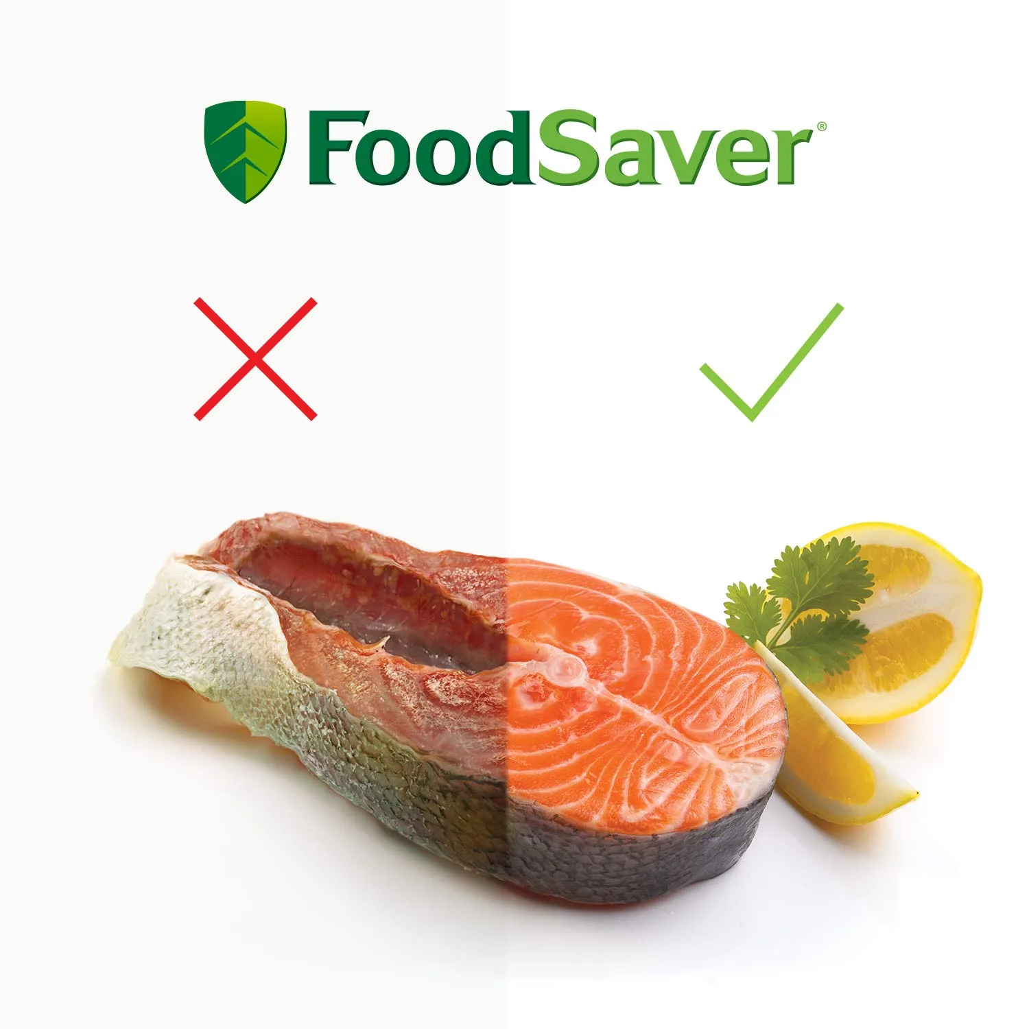 FoodSaver FFS017X machine sous vide avec fonction marinade et cutter