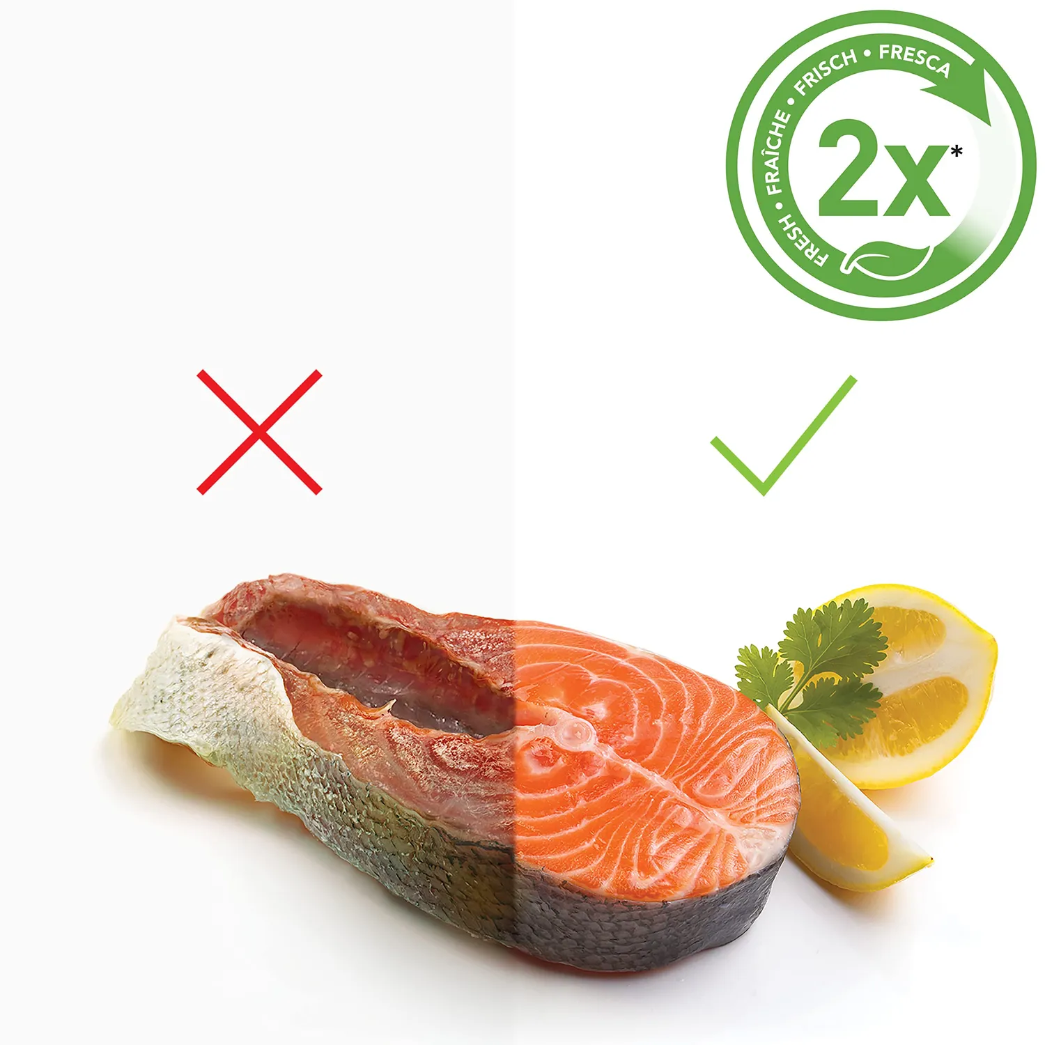 FoodSaver VS1199X machine sous vide portative sans fil avec accessoires