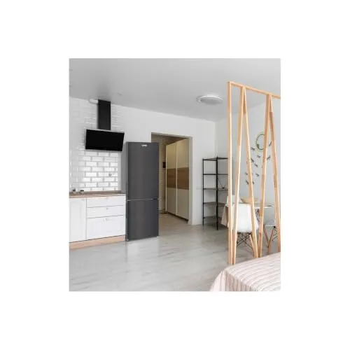 FRIGELUX RC262XD réfrigérateur combiné dark inox 262 L Low Frost
