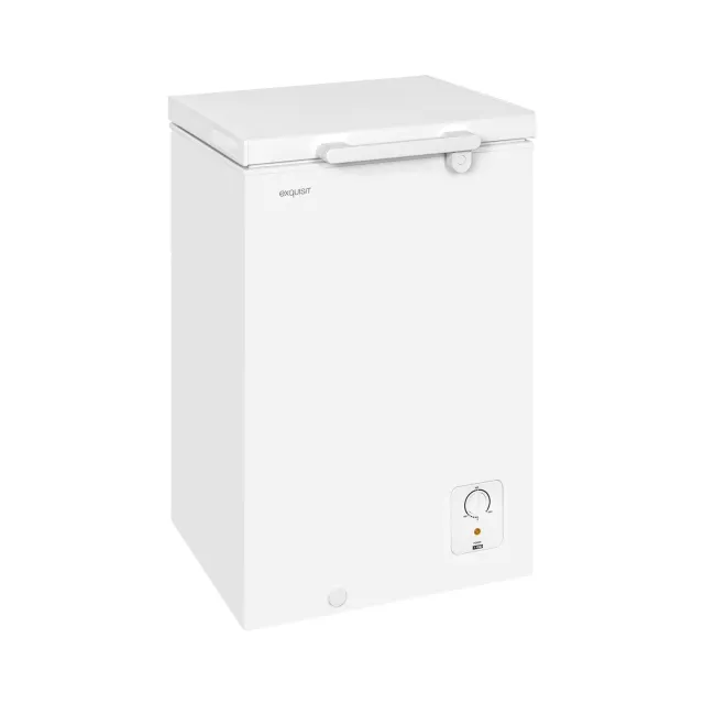 EXQUISIT GT5100-010E congélateur coffre blanc