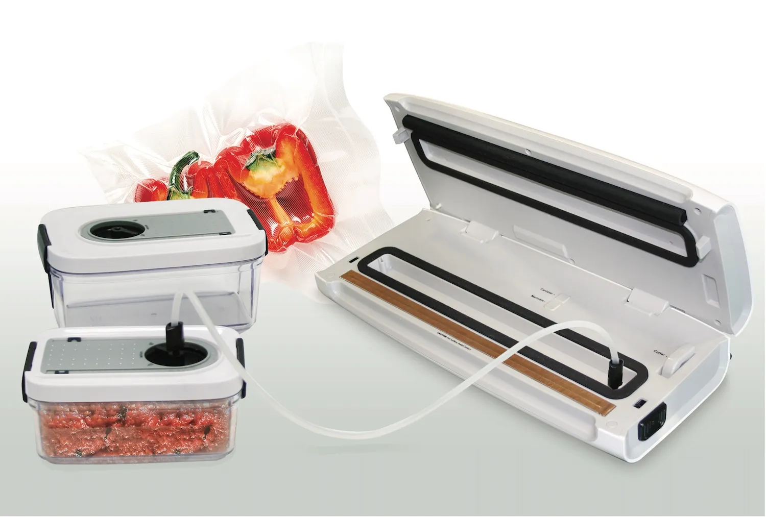 Lavezzini FRESH machine sous vide