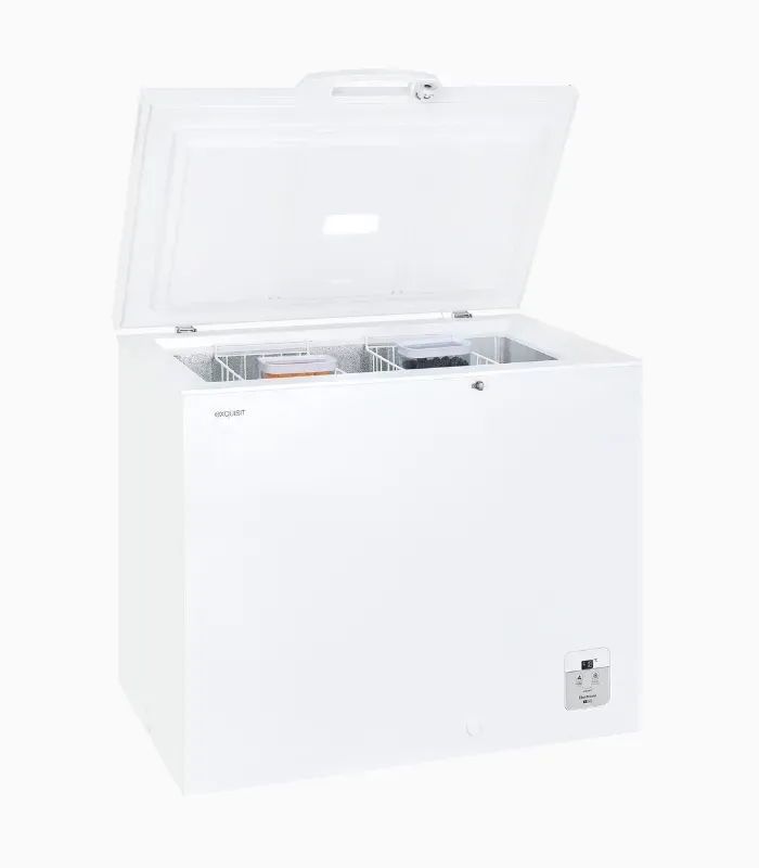 EXQUISIT GT220-HE-010A congélateur coffre blanc