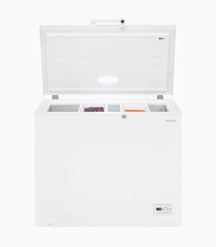 EXQUISIT GT250-HE congélateur coffre blanc