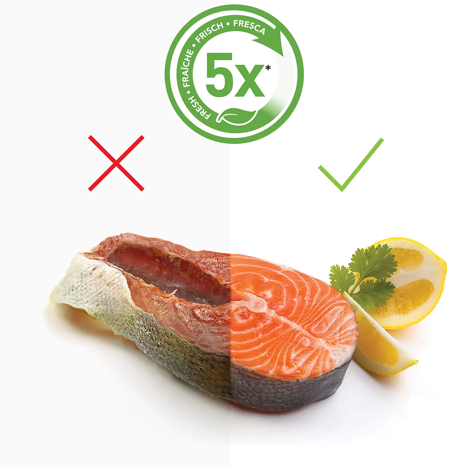 FoodSaver sacs et rouleaux sous vide 5 rouleaux et 36 sacs sans BPA